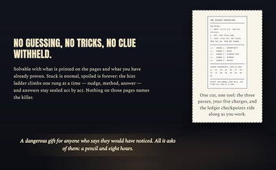 They Think You Did It- A Murder Mystery Puzzle Book