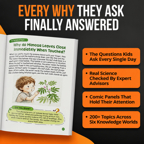 Children's encyclopedia For Curious Kids